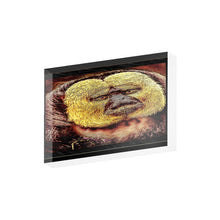 Load image into Gallery viewer, Primate Models: White-faced Saki monkey 01 Acrylic Photo Block