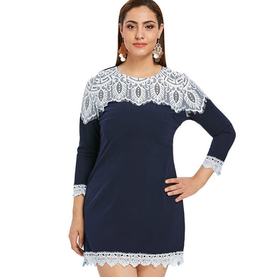 Lace Panel Long Sleeve Plus Size Mini Dress