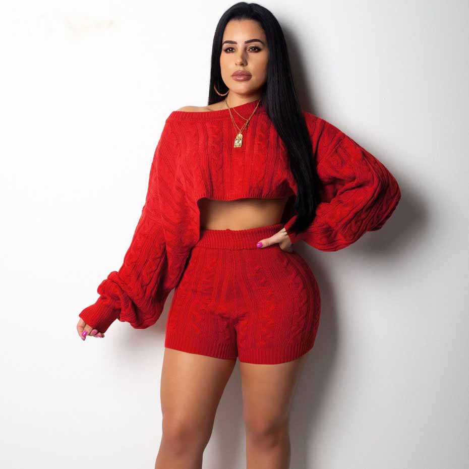 Two Piece Long Sleeve Knit Sweater and Bodycon Shorts Set