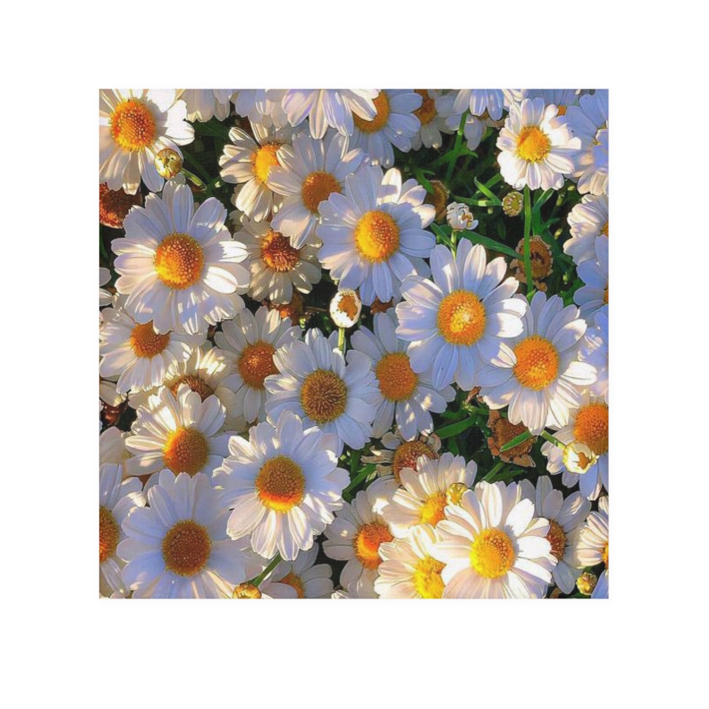 Sun-Kissed Meadow Washcloth – Soft Floral Hand & Face Cloth