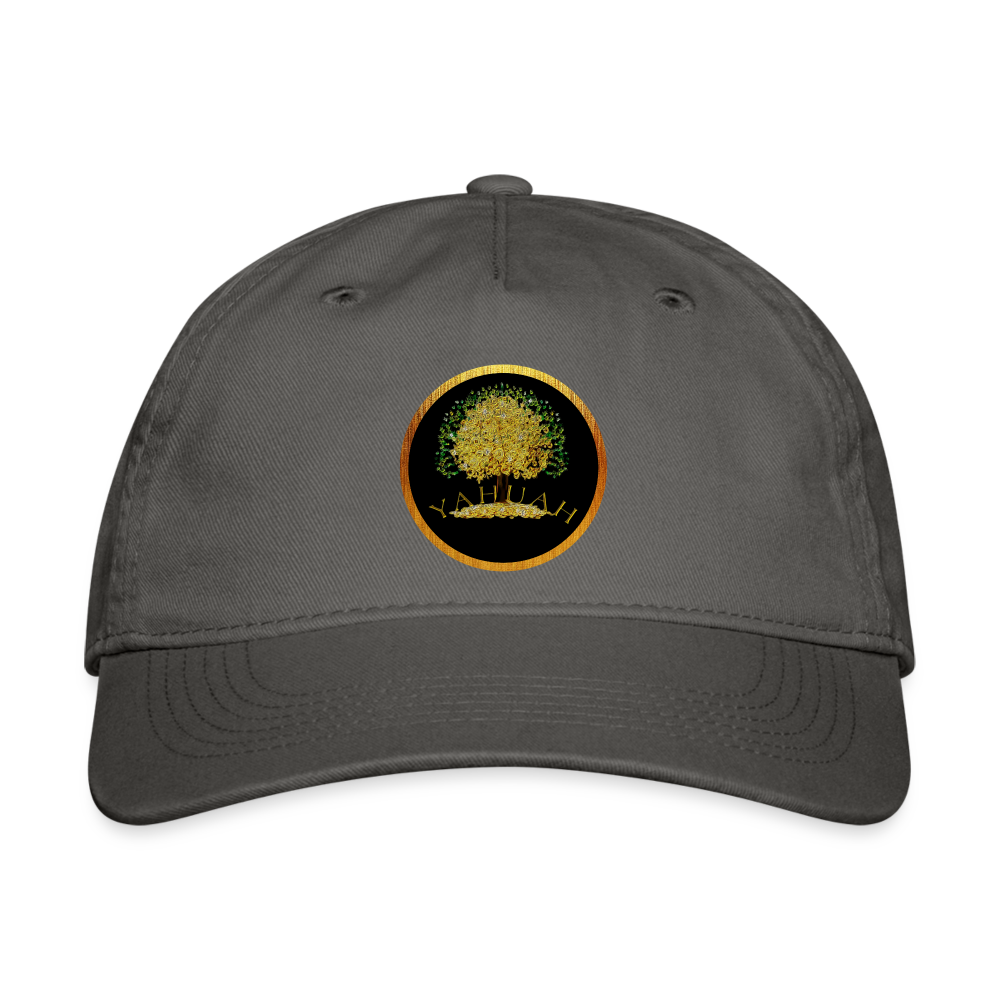 Yahuah-Tree of Life 03-01 Designer Econscious Organic Baseball Cap (6 colors) - charcoal