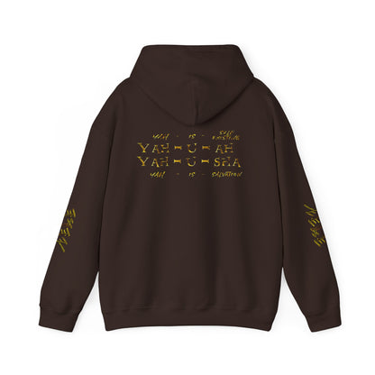 Truth Illustrated 02 Designer Gildan Unisex Heavy Blend Hoodie (4 colors)