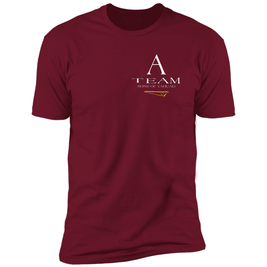 A-Team 02-01 Men's Designer Premium Cotton T-shirt (2 colors)