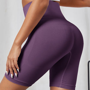 Seamless Nylon Shaping Shorts (5 colors)