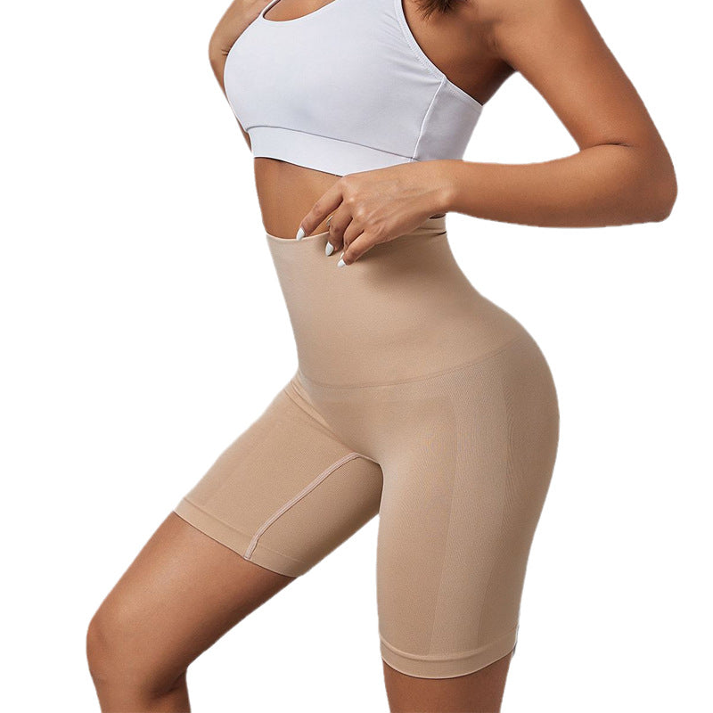 Seamless Nylon Shaping Shorts (5 colors)