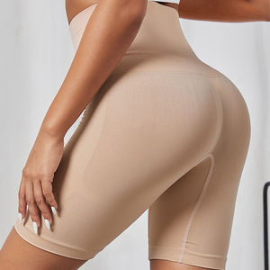 Seamless Nylon Shaping Shorts (5 colors)
