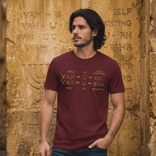 Truth Illustrated 02 Designer Cotton Heritage Men's Heavyweight T-shirt (3 colors)