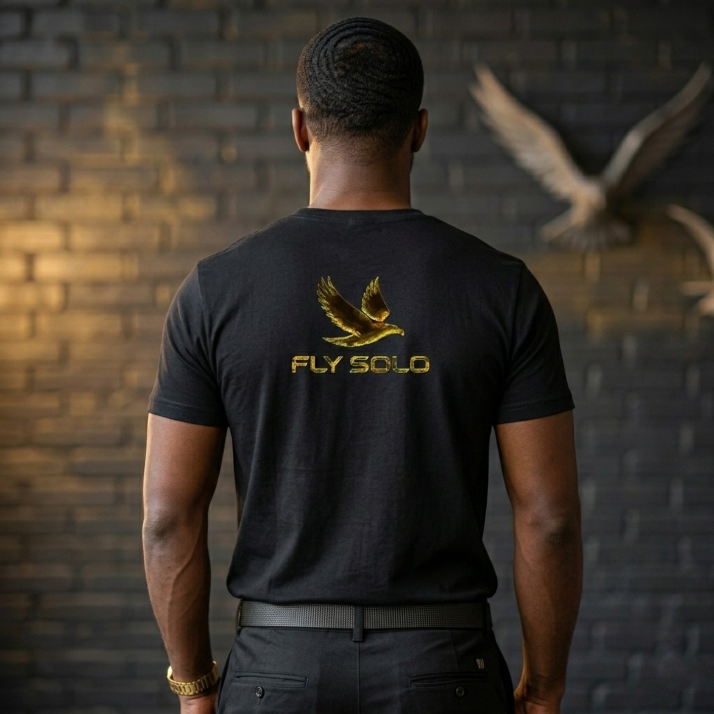 Unity in Solitude (01) "Fly Solo" | Men's V-neck Tee | 5 colors