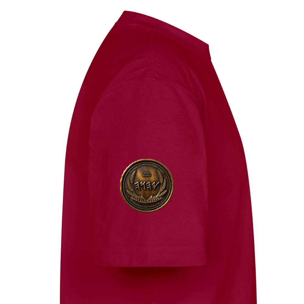 Side view showing the left sleeve of a burgundy oversized t-shirt featuring a circular antiqued bronze Paleo-Hebrew medallion graphic.