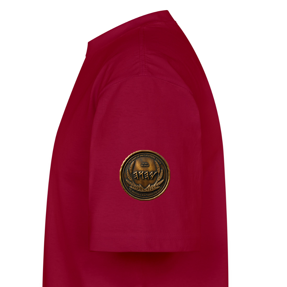 Side view showing the right sleeve of a burgundy oversized t-shirt detailed with a circular antiqued bronze Paleo-Hebrew medallion emblem.