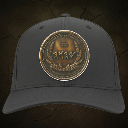 Front view of a charcoal grey structured twill baseball cap displaying a detailed, high-contrast metallic bronze symbolic shield patch.