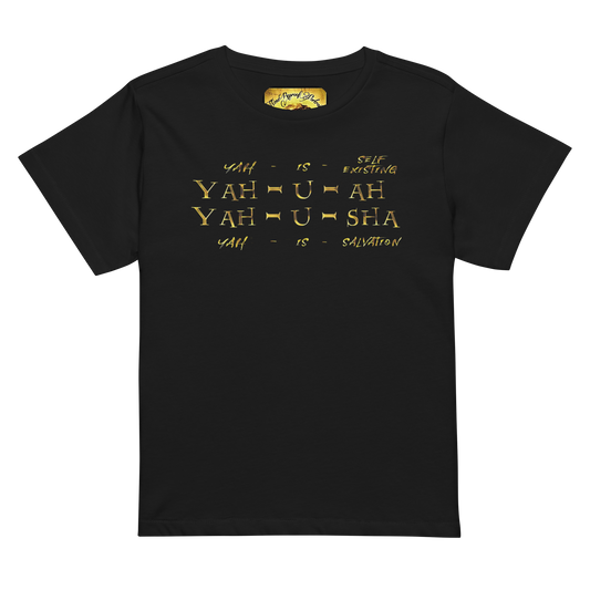 Truth Illustrated 02 Designer Cotton Heritage Ladies Slim Fit T-shirt