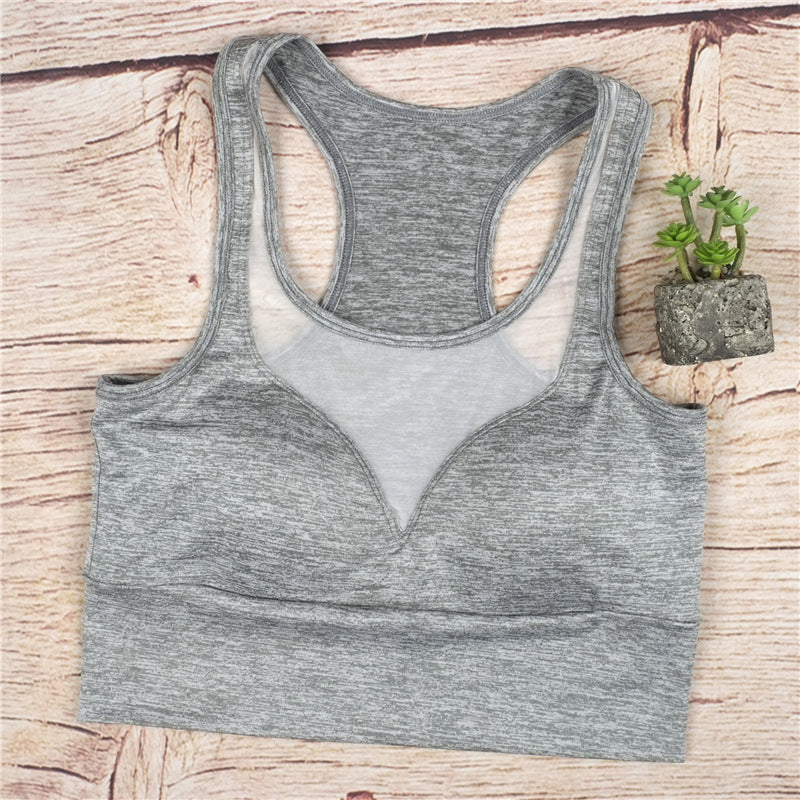 Solid Mesh Lined Sports Bra With Pad