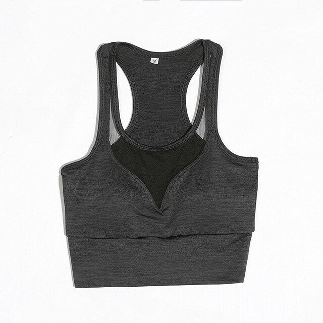 Solid Mesh Lined Sports Bra With Pad