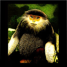 Cargar imagen en el visor de la galería, Modelos Primate: Funda nórdica de microfibra douc 01 de patas rojas